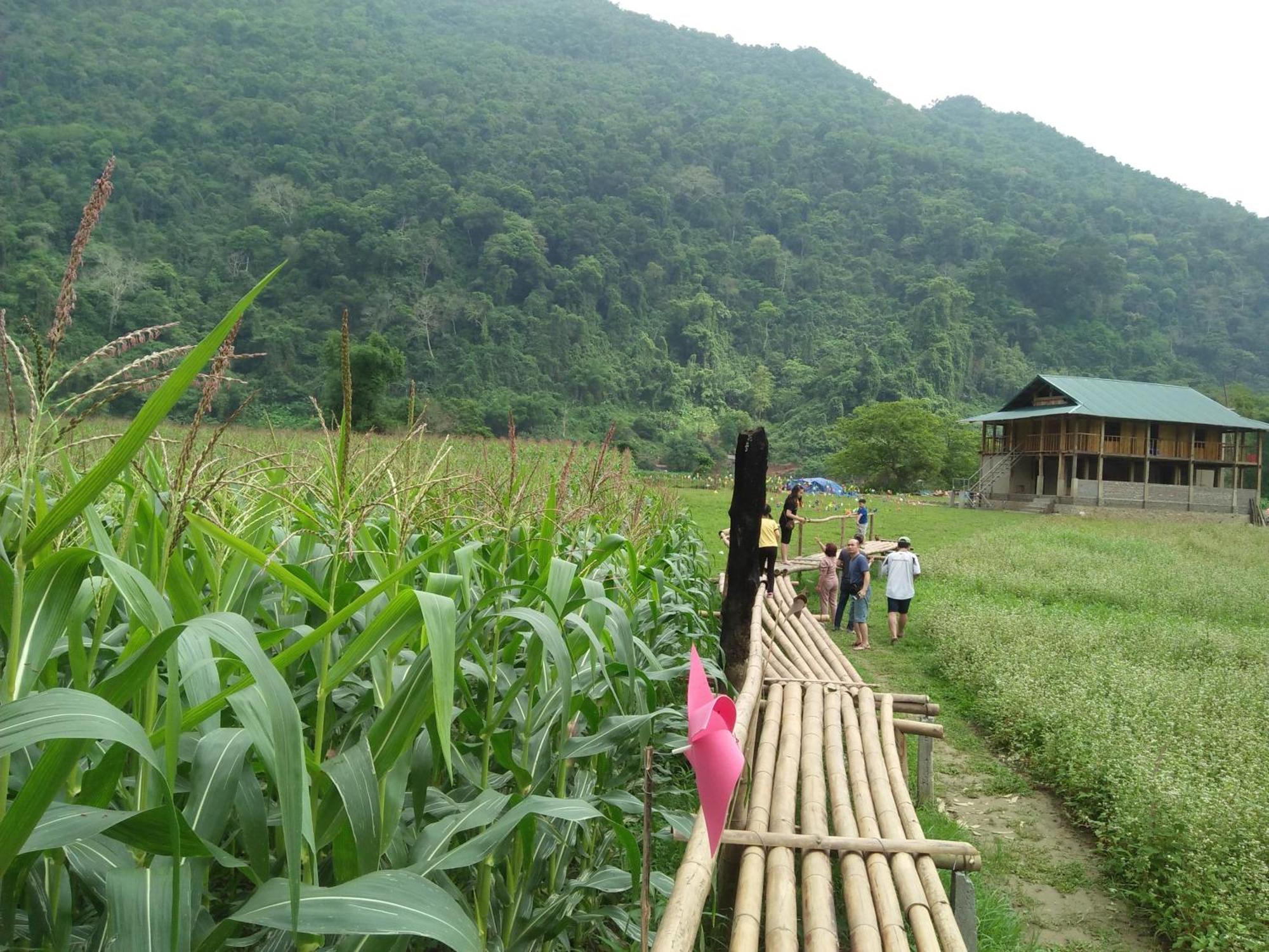 Tran Xuan Homestay Ba Be Екстериор снимка